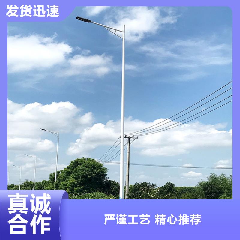 【太阳能市电】新农村太阳能路灯生产经验丰富