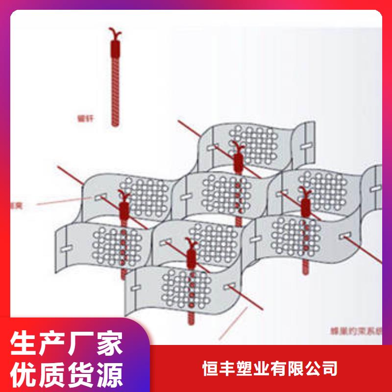 蜂巢格室_土工布源厂直接供货