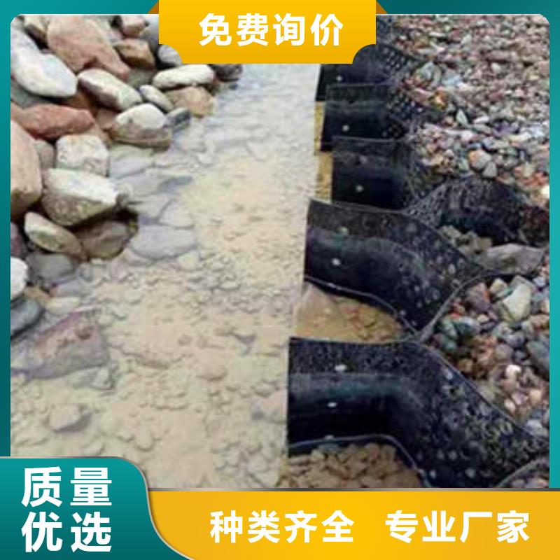 【蜂巢格室】双向土工格栅讲信誉保质量