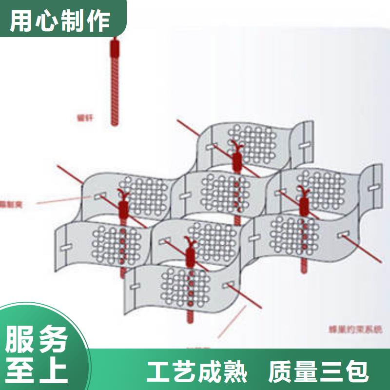 【蜂巢格室双向塑料土工格栅价格透明】