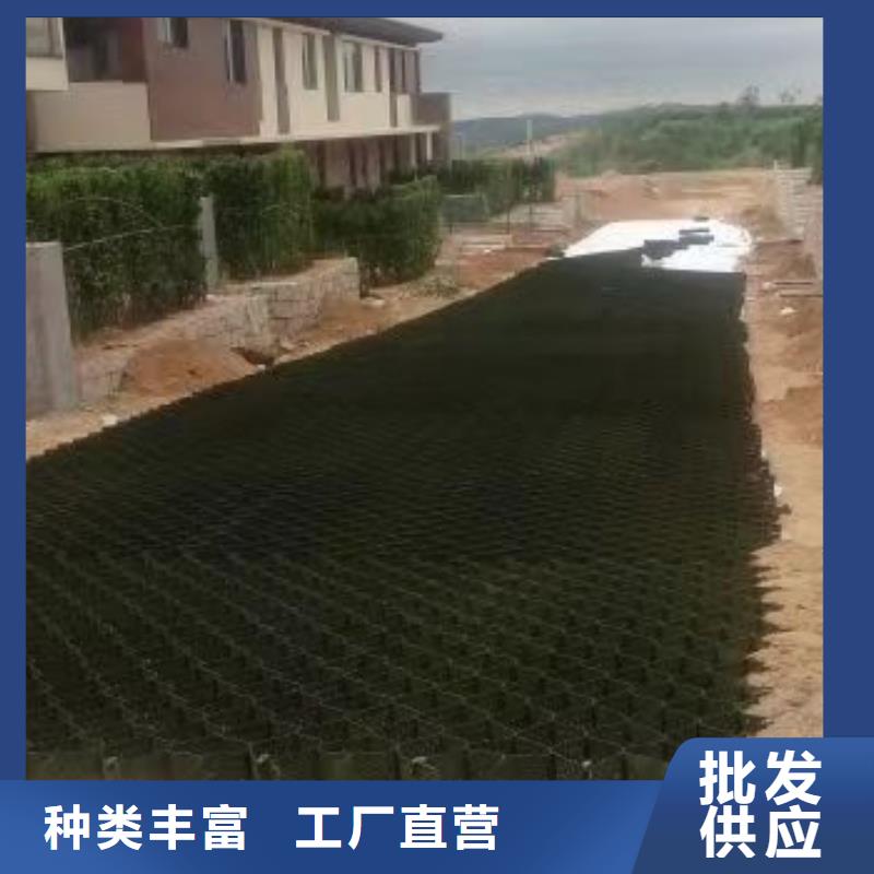 蜂巢格天博体育网页版登陆链接-天博体育网页版登陆链接