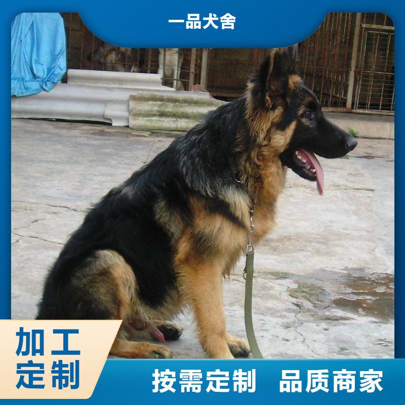 【德国牧羊犬】-比特犬精选好货