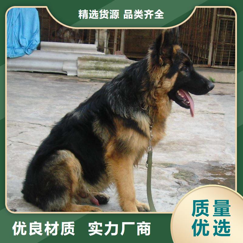 【德国牧羊犬,罗威纳犬好产品放心购】