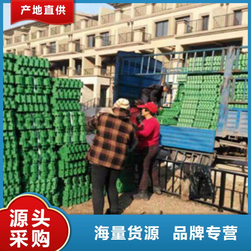 环保植草格【土工布厂家】现货齐全售后无忧