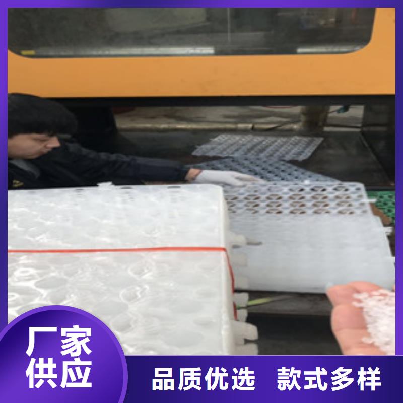 蓄排水板虹吸排水板厂家支持货到付清