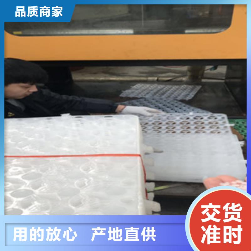 蓄排水板蓄排水板厂家质量上乘