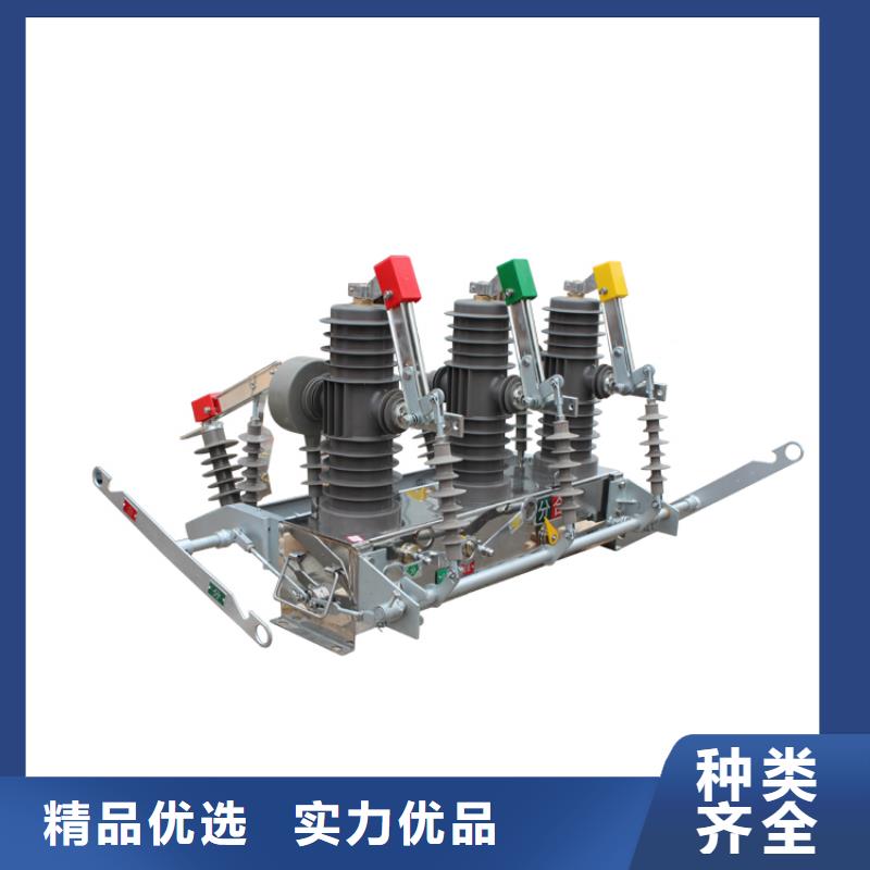 海南ZW8M-12/1250-31.5真空断路器规格齐全