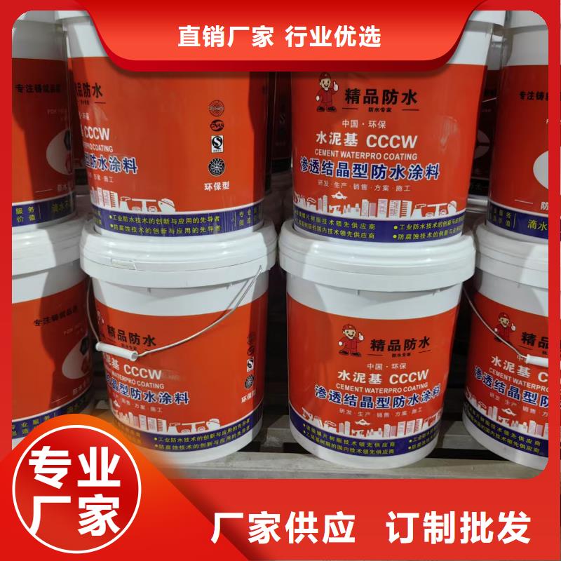 LV高分子聚合物防水防腐涂料N年大品牌规格齐全ES污水池专用防腐涂料